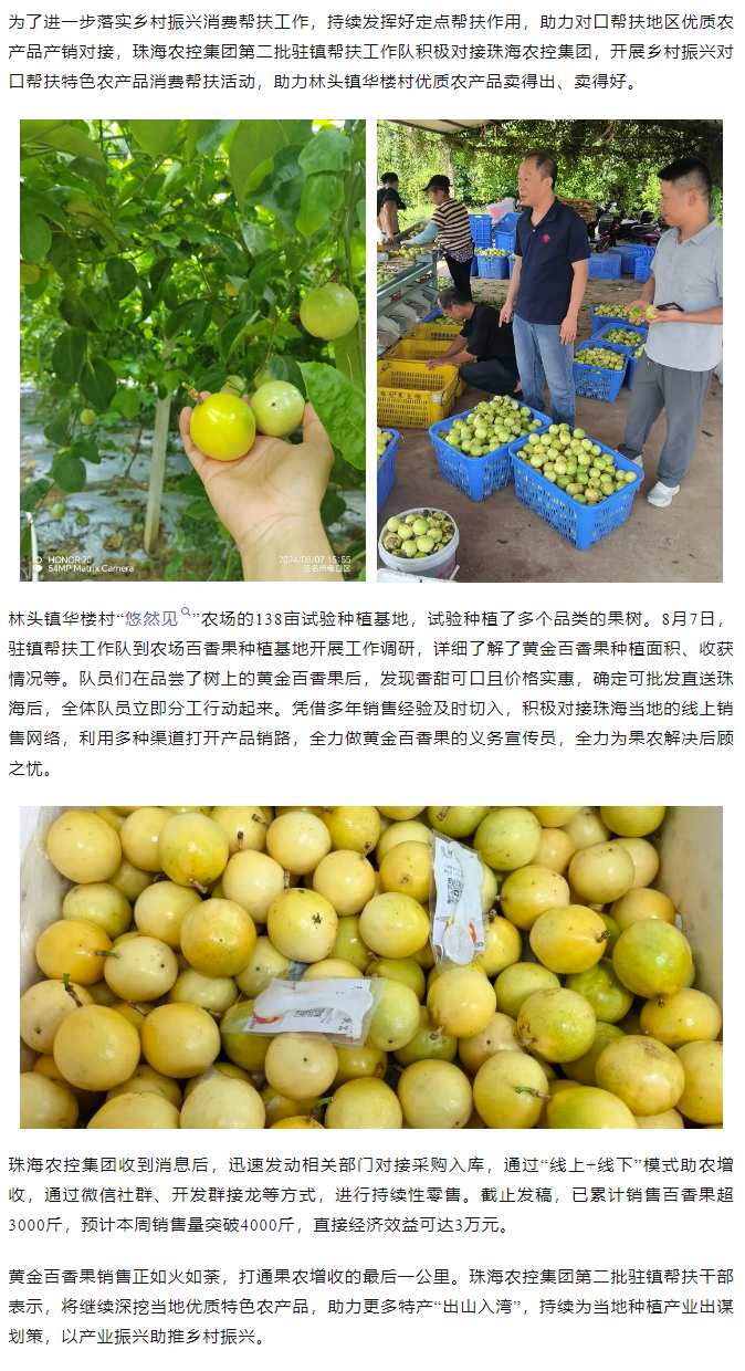 万搏（中国）集团助力产销对接 对口帮扶果香飘百里.png
